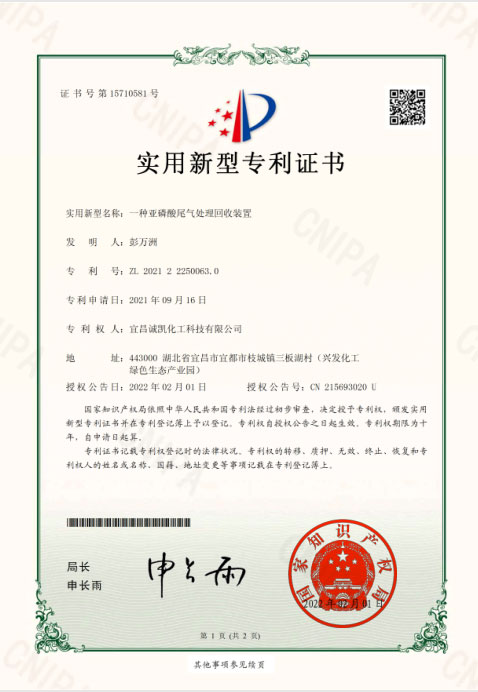 G1YC2154315-2E1 专利证书